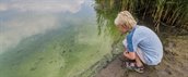 Kindje kijkt naar de groene blauwalg op het water