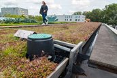 Vrouw loopt over dak bekleed met mos en andere natuur