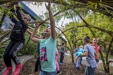 Kinderen spelen in een speeltoestel vol planten