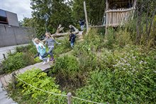 Kinderen spelen in het groen op een schoolplein