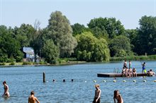 Delftse Hout