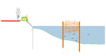 schematische weergave vissenbossen boven water