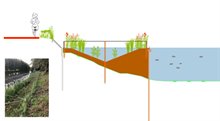 schematische weergave vraatbescherming oever