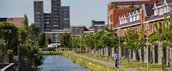 Gebouwen aan een kade met bomen