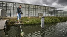 Glastuinbouw