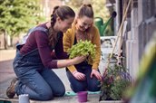 twee vrouwen bezig met geveltuin