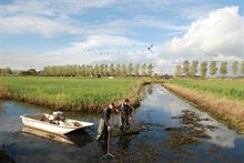 in waadpak met vogels in vpp