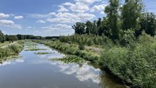 Kade bij het Hazepad. aan de rechterkant groeit er geen gras op de kade.