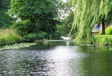 Strijp en Reijnerwatering