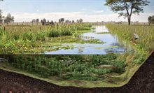 uitsnede natte ecologische zone artist impression-small