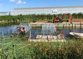 aanleg onderwaterplanten De Lier