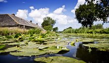 Waternatuur