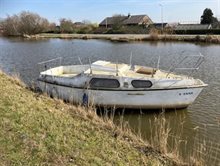 882763 bootje bonte haas (1)