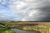 water in de polder_regenboog