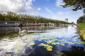 Laak Den Haag