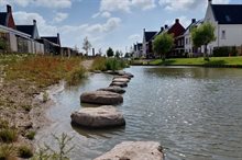 Poeldijk woonwijk