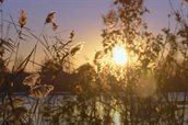 ondergaande zon (002)