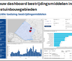 dashboard w