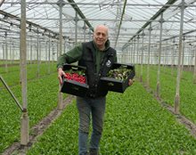 99c6d98d-bba6-482a-b8e5-4d3e2bacd9d0