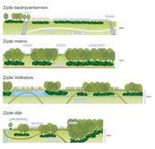 Afbeelding zijden BKP