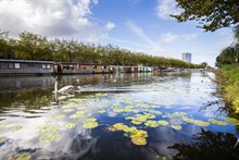 Laak Den Haag (1)