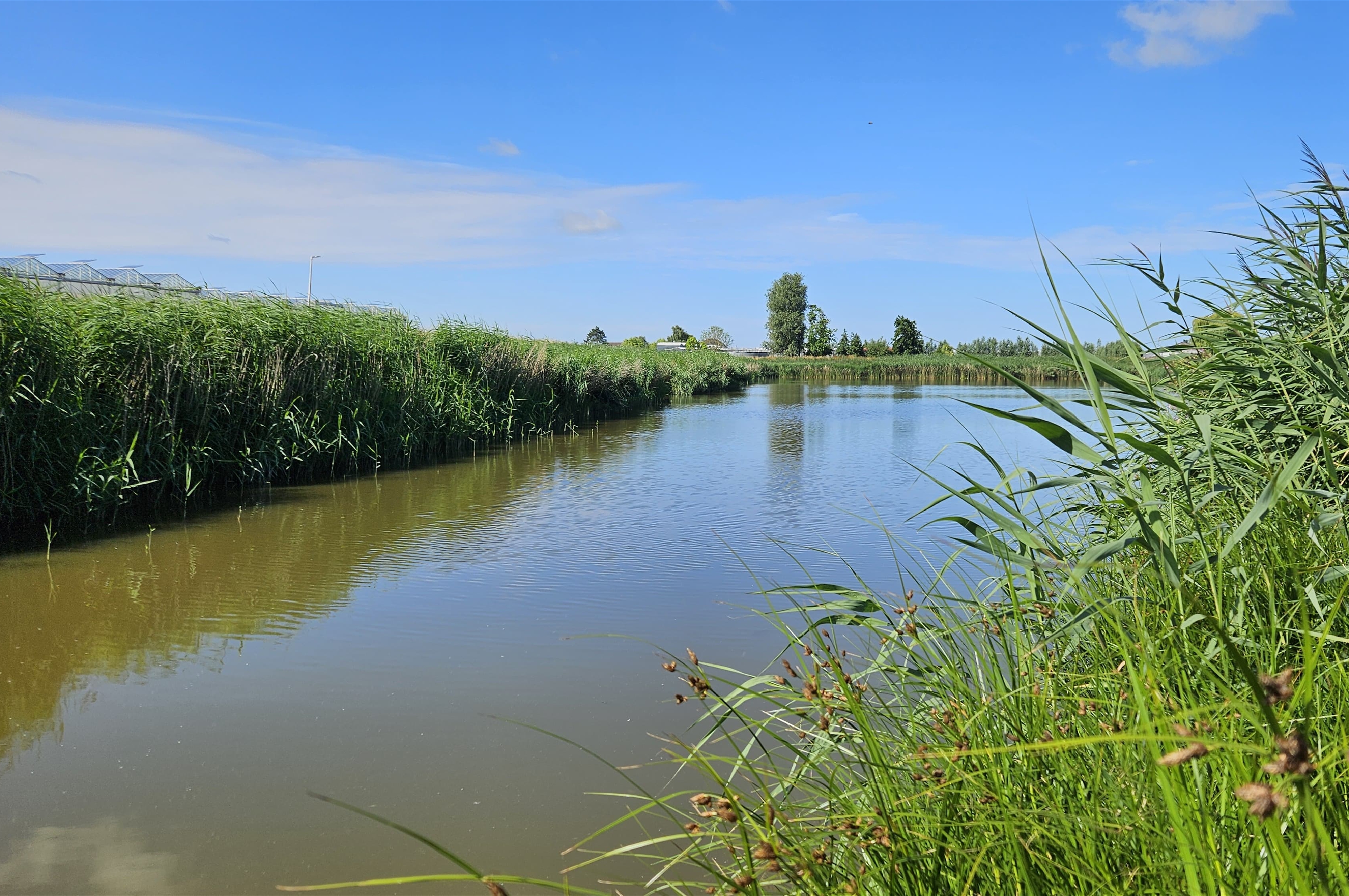 Photo: hhdelfland.nl Delfland Lifts Temporary Ban on Surface Water Extraction for Key Sectors