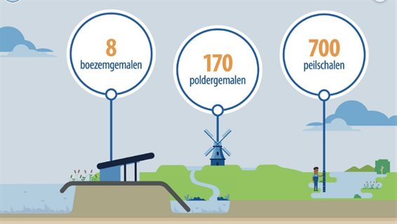 Feiten